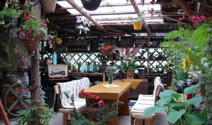 Apartament Wynajem Pokoi Krystyna Mróz Zakopane